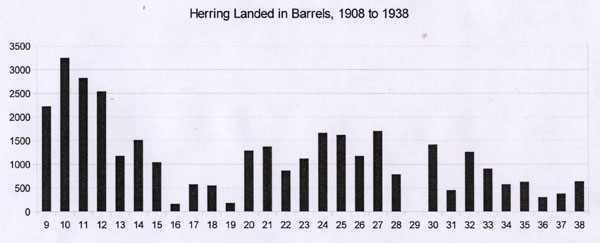 Herring Landed in Craster Harbour, 1908 to 1938