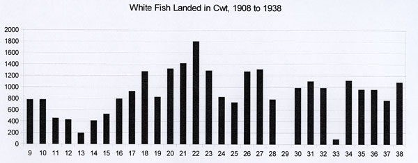 White Fish landed in Craster Harbour, 1908 to 1938